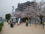よいこの森 4月