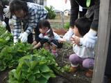 よいこの森 11月