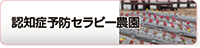 認知症予防セラピー農園